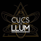 cucs de llum