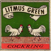 Litmus Green: Cockring