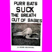 Suck the Breath out of Babies (A Guided Meditation)