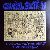 Language Isn't The Only Way Of Communicating