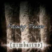 Following Tracks