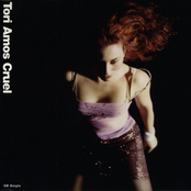 Raspberry Swirl (lip Gloss Version) by Tori Amos