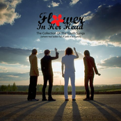 The Collection Of The Youth Songs [where real ladies fall in love in autumn]