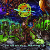 Rings of Saturn: Embryonic Anomaly