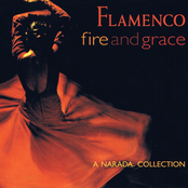 Flamenco: Fire And Grace