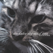 der kater der einst war