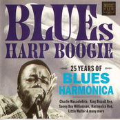 Blues Harp Boogie