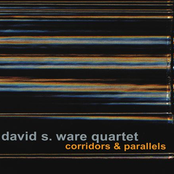 Corridors & Parallels