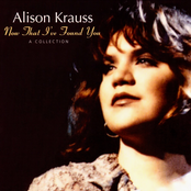 Alison Krauss: Now That I've Found You: A Collection