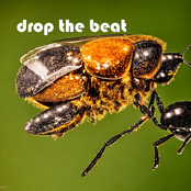 Drop the Beat