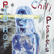 This Is The Place by Red Hot Chili Peppers