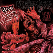 Black Blood Vomitorium by Necrophagia