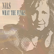 What The Funk? by Nils