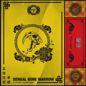 BENGALBONEMARROW