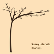 sunny intervals