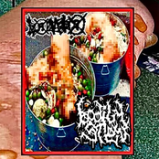 HUMAN BLISTER // FLAKKA FOOL