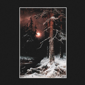 The Watchful Eye of Night