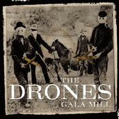 Are You Leaving For The Country by The Drones