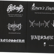 D.S.T - Deutsche  Schwarze Tonträgerkunst