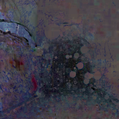 risperidone cycle / cut to enhance natural beauty