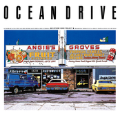 OCEAN DRIVE plus 3
