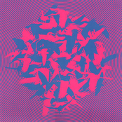 The Momentary Aviary