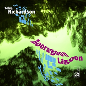Booragoon Lagoon Single
