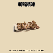 Accelerated Evolution Syndrome