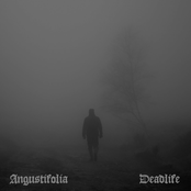 Angustifolia / Deadlife