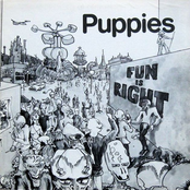 fun is right