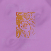 Max’s Earnest Muse