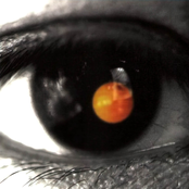 David Tao: 黑色柳丁