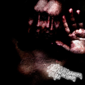 LET YOUR GRANDPA KNOW IM MADE OF SILK