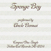 Sponge Boy
