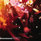 brownswood electric 2