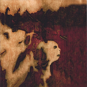 Echoes on the Ground