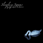 sleepless swans