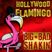 Hollywood Flamingo
