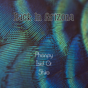 Back In Arizona
