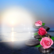 Detalhes Inexistentes