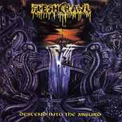 Descend Into the Absurd