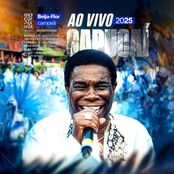 Sambas de Enredo Rio Carnaval 2025 (Ao Vivo)