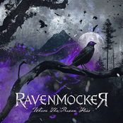 Where The Raven Flies