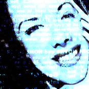 North Divides / Love Leaves an Echo