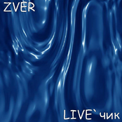 Live'чик