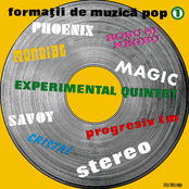 Formatii de muzica Pop - Vol. 1 (Vinyl)