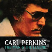 Bird Dog by Carl Perkins