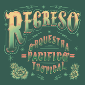 Orquestra Pacifico Tropical: Regreso