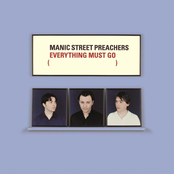 Small Black Flowers That Grow In The Sky by Manic Street Preachers