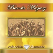 Banda Maguey: Coleccion Diamante